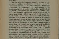 02_MUEMEL_IV_1_A_1_d_1_t_001_sz_00013