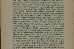 02_MUEMEL_IV_1_A_1_d_1_t_001_sz_00014